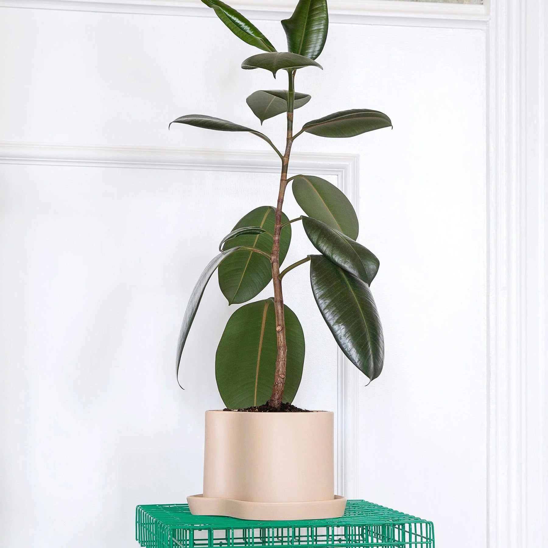 Maritimer Blumentopf aus sandfarbener Keramik