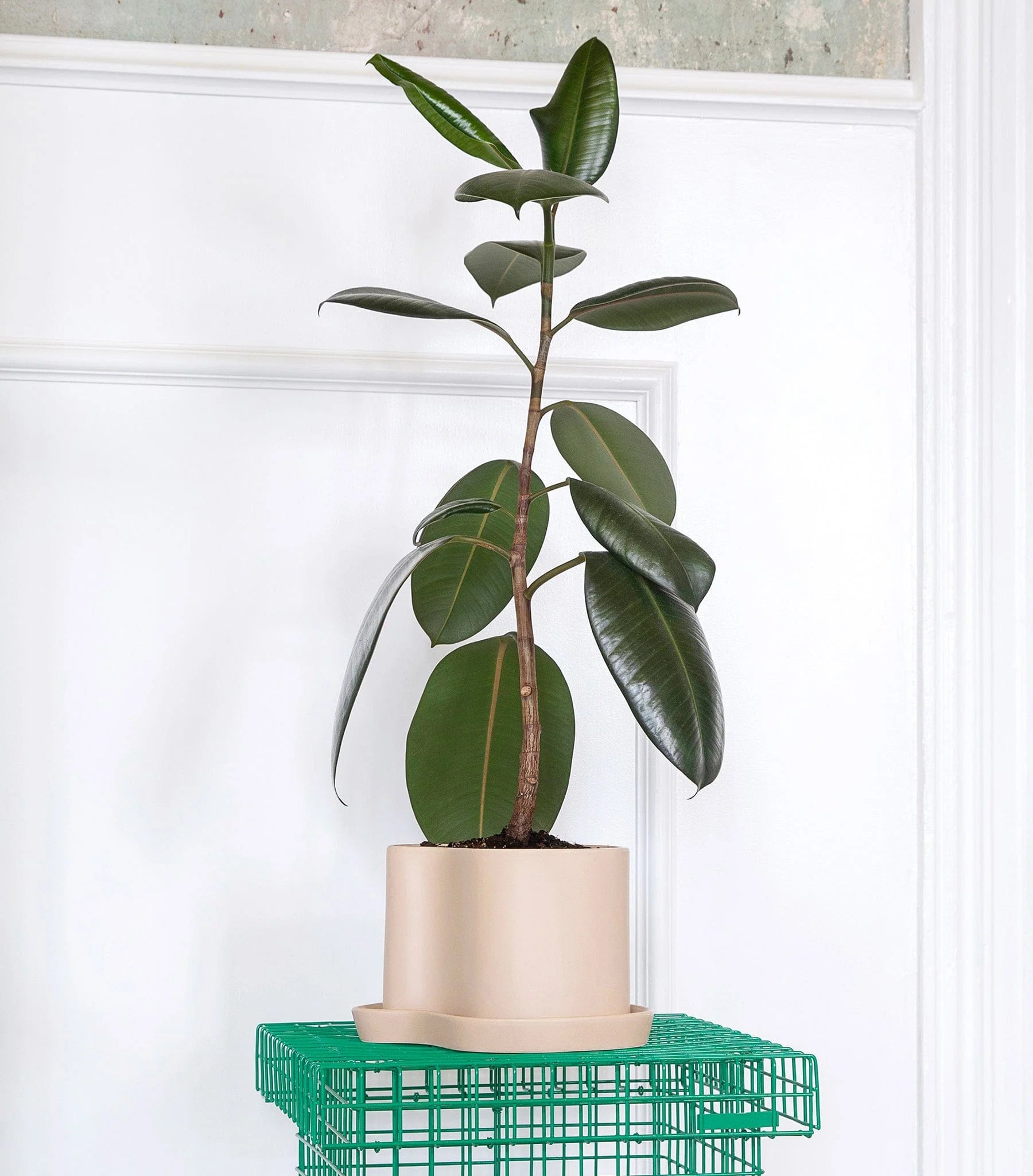 Maritimer Blumentopf aus sandfarbener Keramik